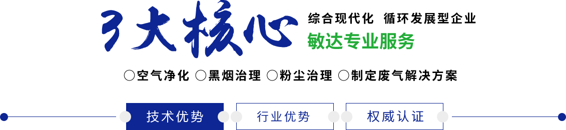 鸡巴日逼又快又刺激免费敏达环保科技（嘉兴）有限公司